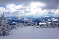 Babia2111
