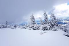 Babia2112