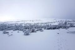 Babia2113