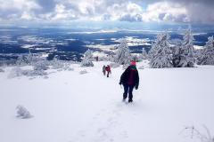 Babia2118