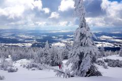 Babia2119