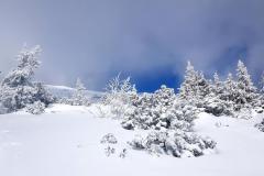 Babia2121