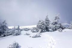 Babia2122