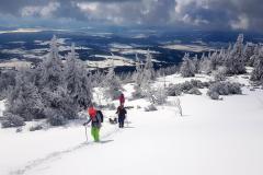 Babia2123