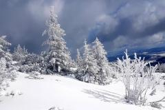 Babia2124