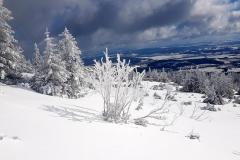 Babia2125