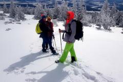 Babia2133