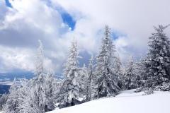 Babia2134