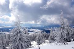 Babia2135