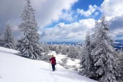Babia2136