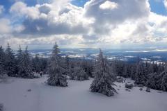 Babia2138
