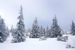 Babia2140
