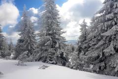 Babia2142