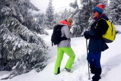 Babia2145