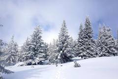 Babia2147