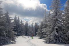 Babia2150