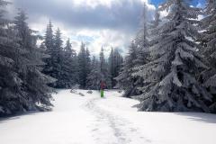 Babia2151