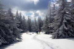 Babia2153