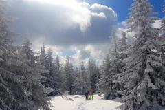 Babia2154