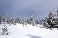 Babia2156