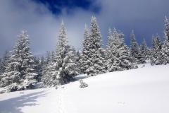 Babia2157