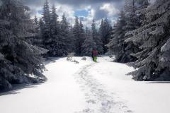 Babia2158