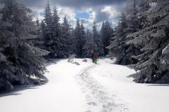 Babia2159