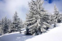 Babia2160