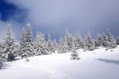 Babia2161