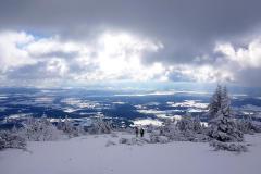 Babia217