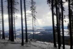 Babia2172