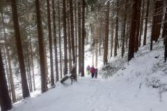Babia2173