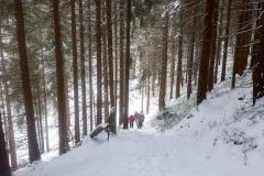 Babia2175