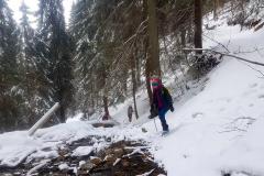 Babia2176