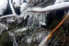 Babia2177
