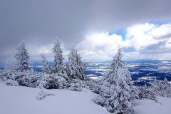 Babia219