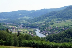 07