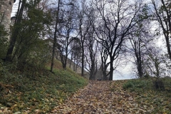 ubowla20251022_075618591_iOS