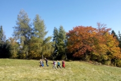 20191013_095634