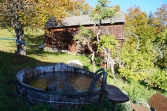 DSC04851