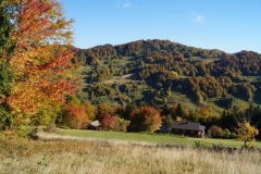 DSC04854