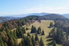DSC04879