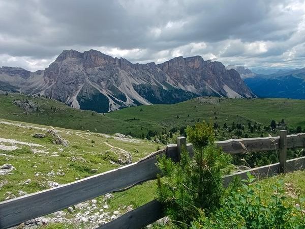 40 dolomity