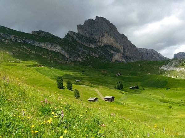 45 dolomity