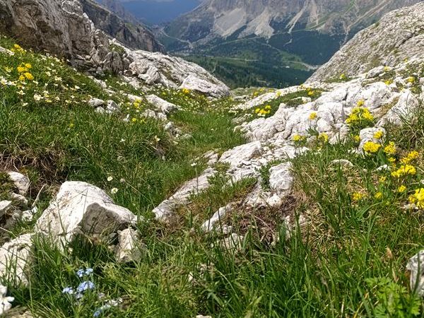 9 dolomity