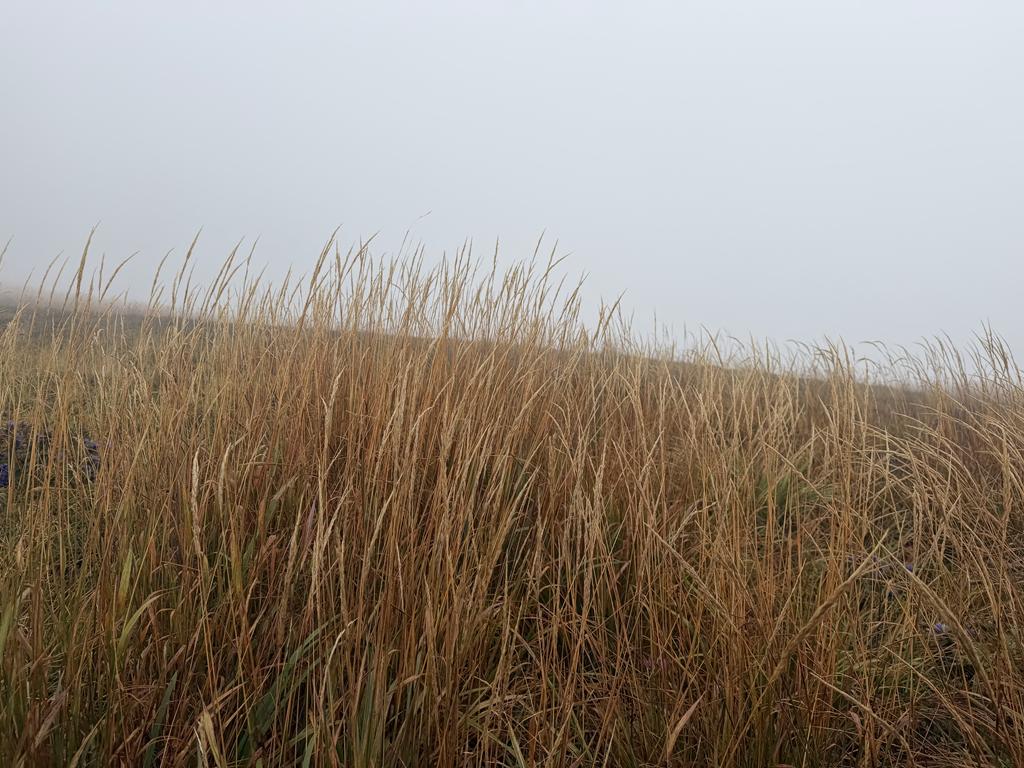 bieszczady11