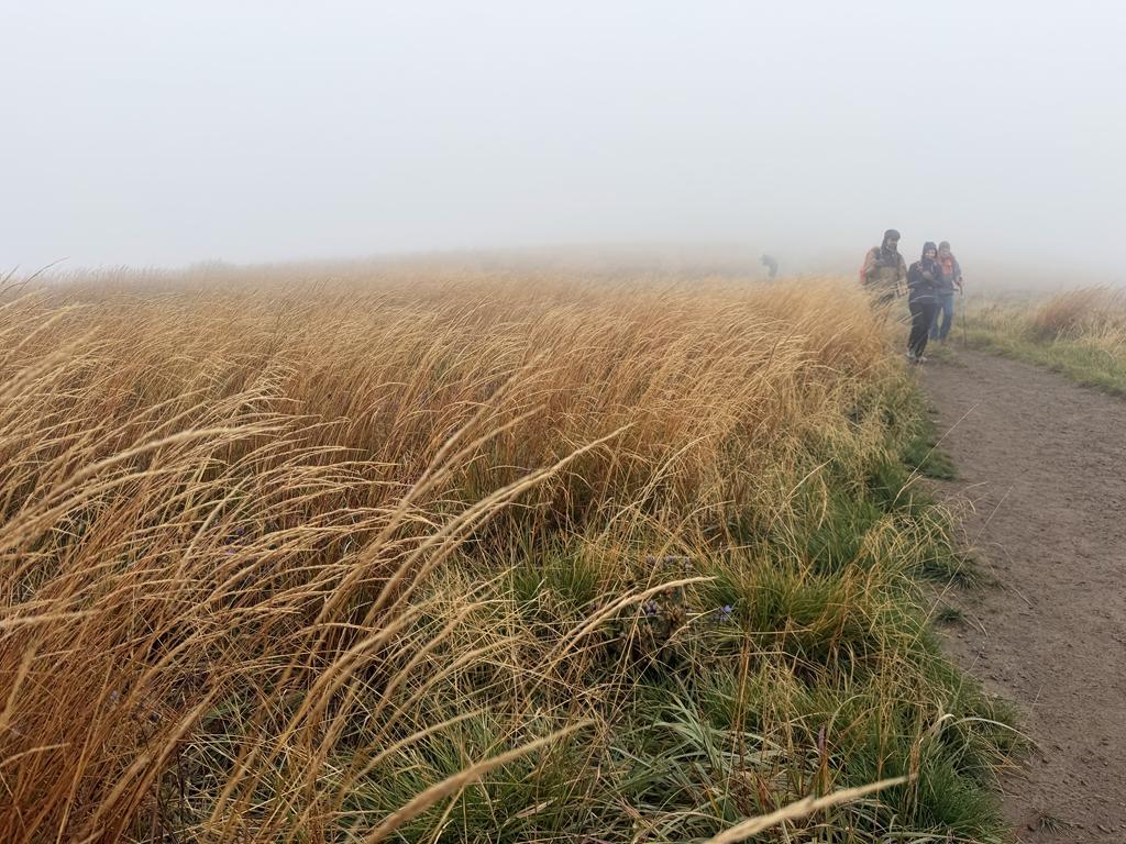 bieszczady12