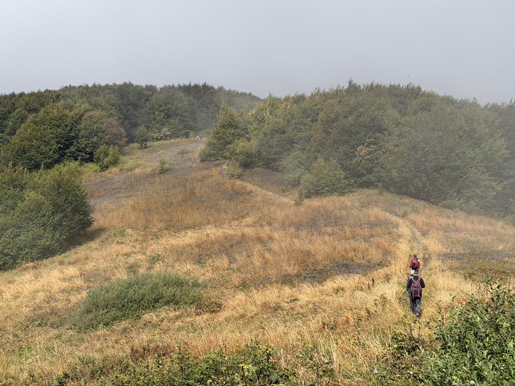 bieszczady18