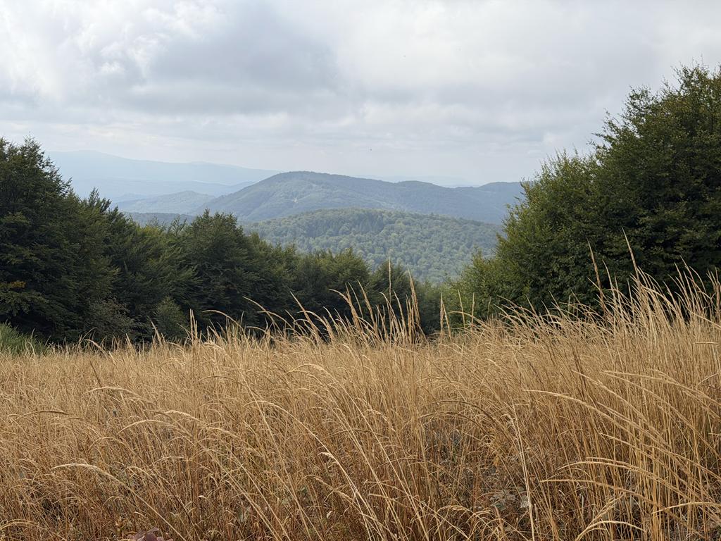 bieszczady19