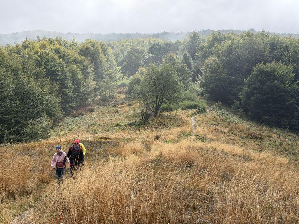 bieszczady20
